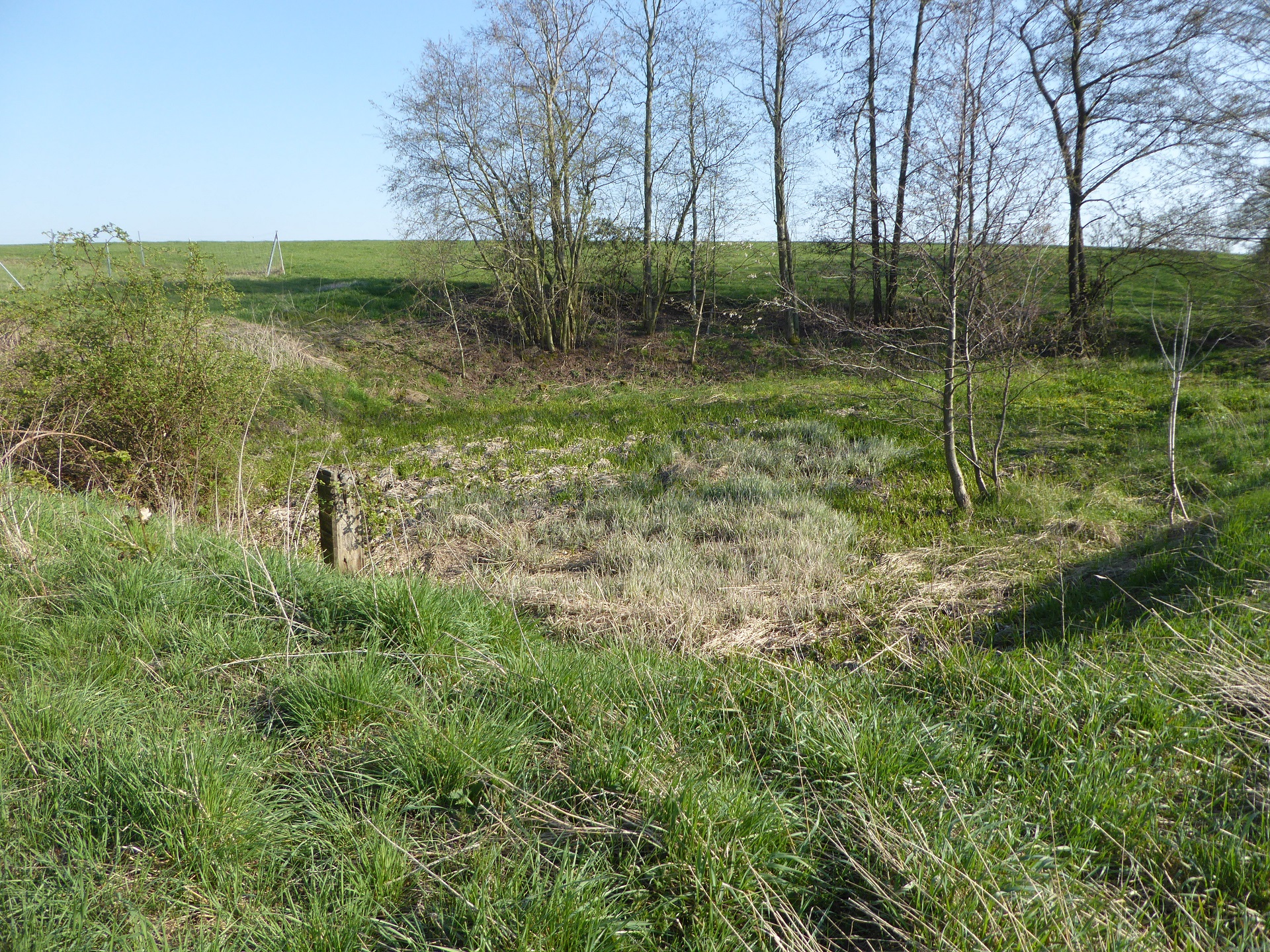 Gewässerrevitalisierung von drei Teichen (Obere FriedemannTeiche